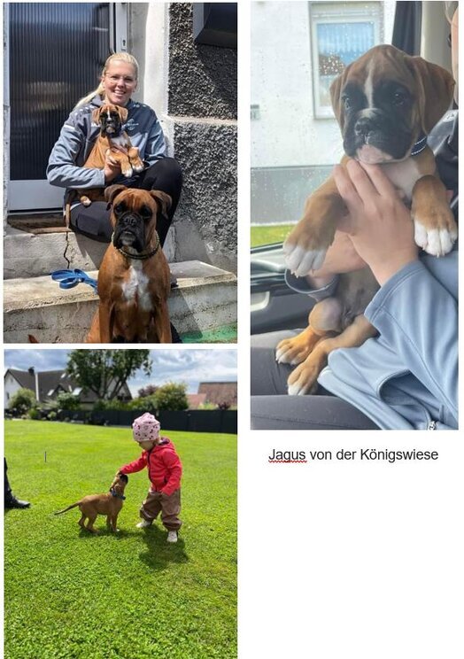 Jagus v.d.Königswiese